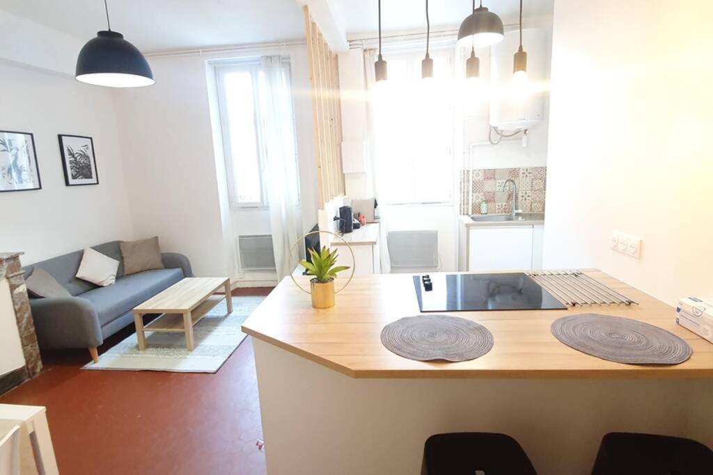 Apartment T2 Cosy Au Calme,entree Autonome,centre Historique Montélimar